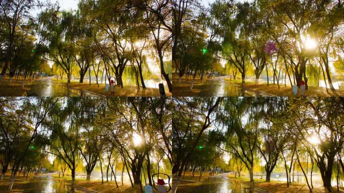 公园秋天时光-阳光穿过大树