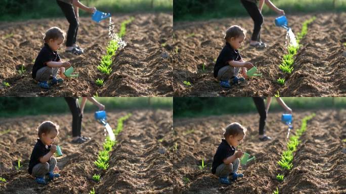 可爱的男孩用小喷壶给新植物浇水