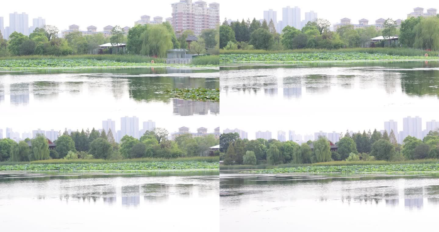 武汉硚口区园博园4K视频素材