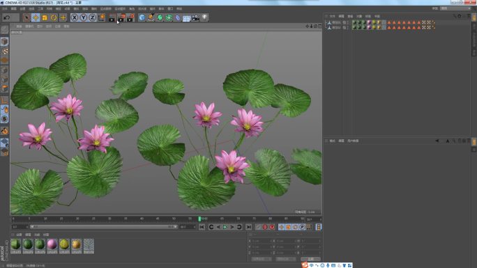 荷花荷叶三维模型