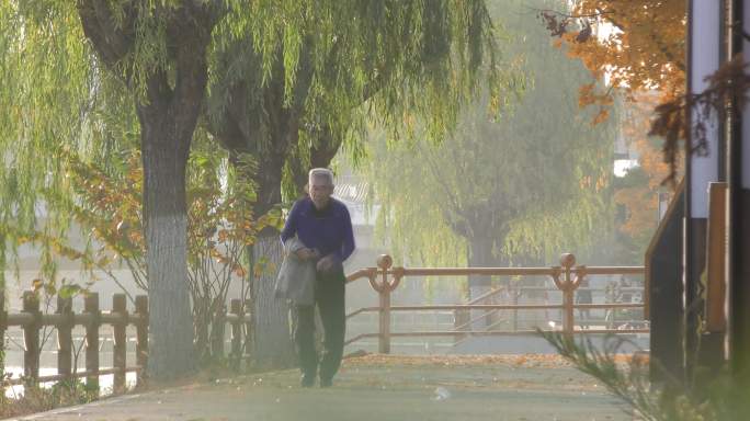 早晨公园艺境晨练跑步退休生活秋景金秋季节