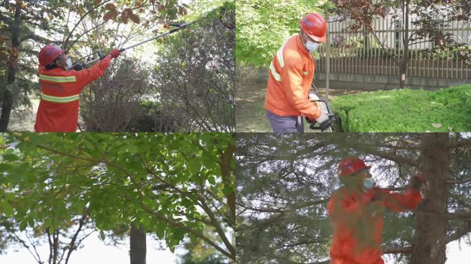 城市绿化 灌木修剪 环卫工人修剪灌木