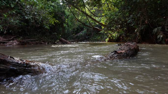 巴西塞拉多的水域-热带森林