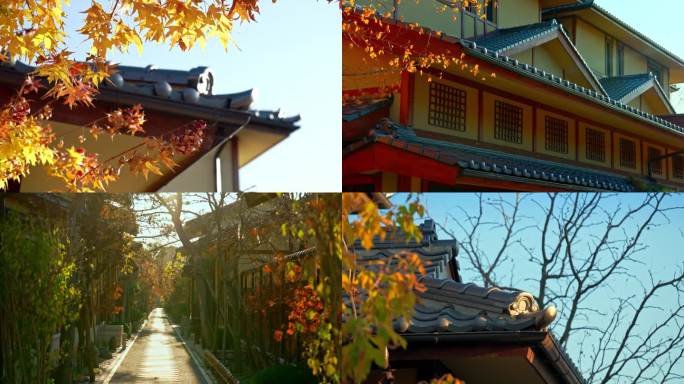 实拍日式别墅的秋天景致