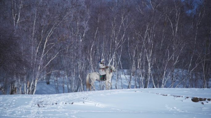 草原雪地里骑马飞驰