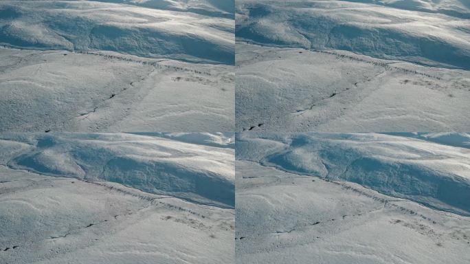 航拍青藏高原雪山河流牧区放牧牦牛群