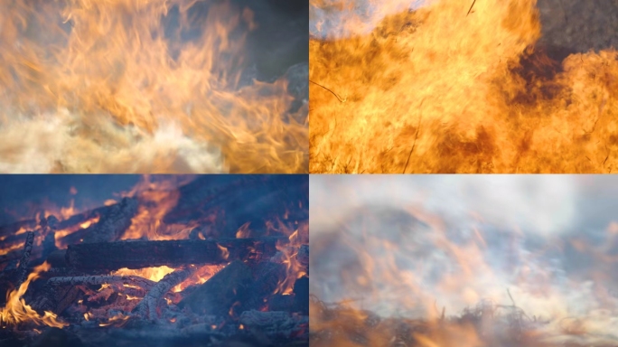 火、火焰、山火、森林大火、消防、119日