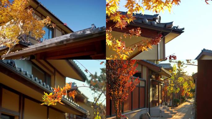 实拍日式别墅的秋天景致