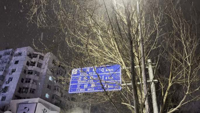 冬天辽宁沈阳和平区大雪路牌