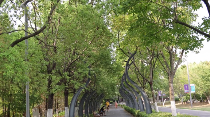 武汉硚口区园博园4K视频素材