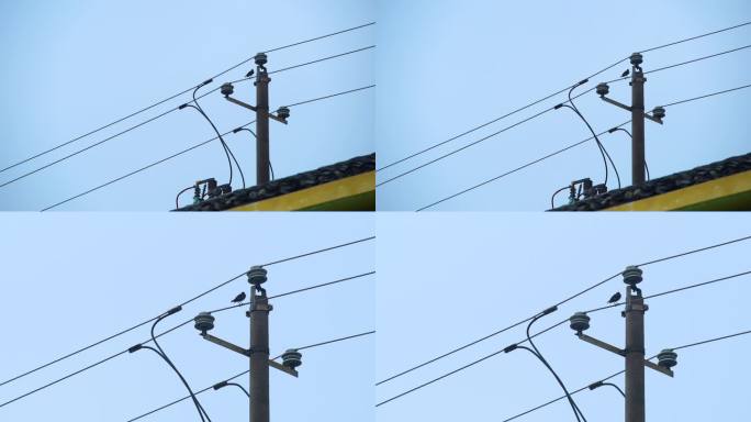 城市生活 家具城 物品运输 热闹繁华