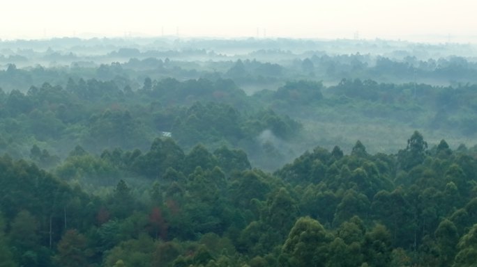 一组生态乡村有薄雾的晨曦航拍