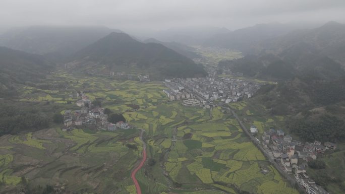 4k油菜花田航拍素材