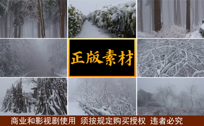 雾雪山林冰雪树木植物【集锦】