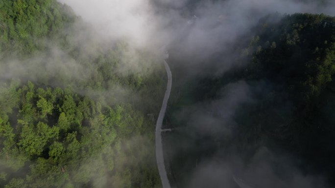 云雾袅绕 乡村公路 山间人家