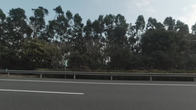 从高速公路上的汽车向外看，路边的行道树茂盛
