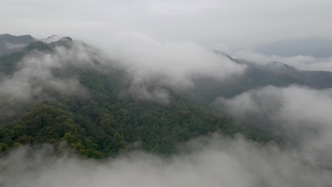 祖国的大好河山