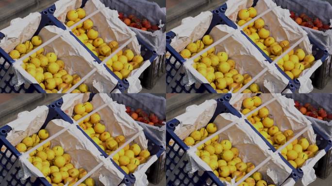 十里铺村出售的水果