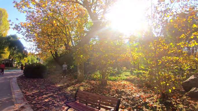 秋的咏叹调-观山湖的秋天 (2)