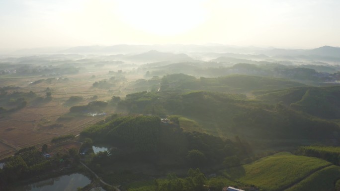 大地 光照 太阳 山 森林 大自然 风景