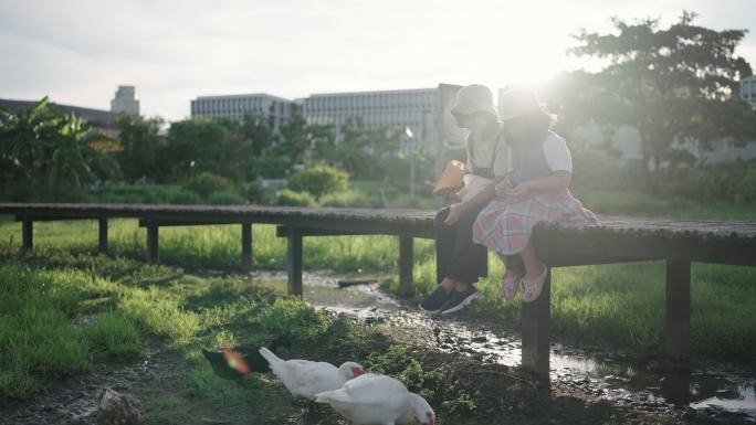 可爱的女孩和妈妈一起喂鸭子