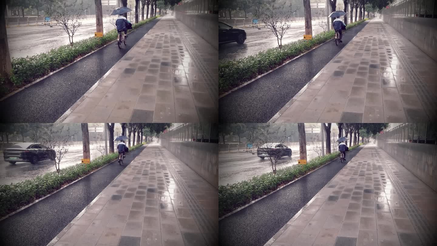 北京自行车专用路迎来开通后的首场雨(图)|专用|骑行|路面_新浪新闻