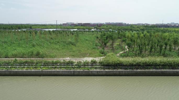 上海郊区河流