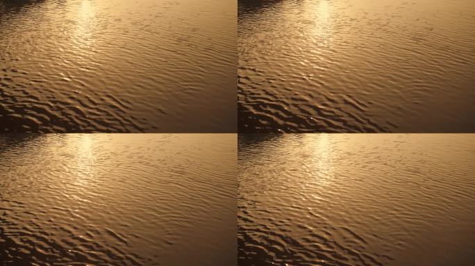 金色波光粼粼水面12