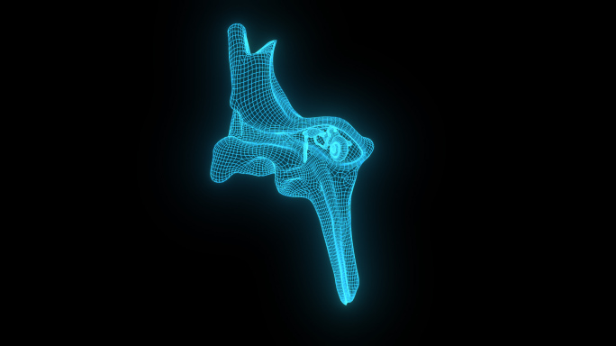蓝色全息线框科技耳朵三维素材带通道