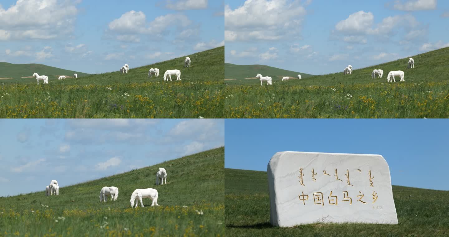 中国白马之乡