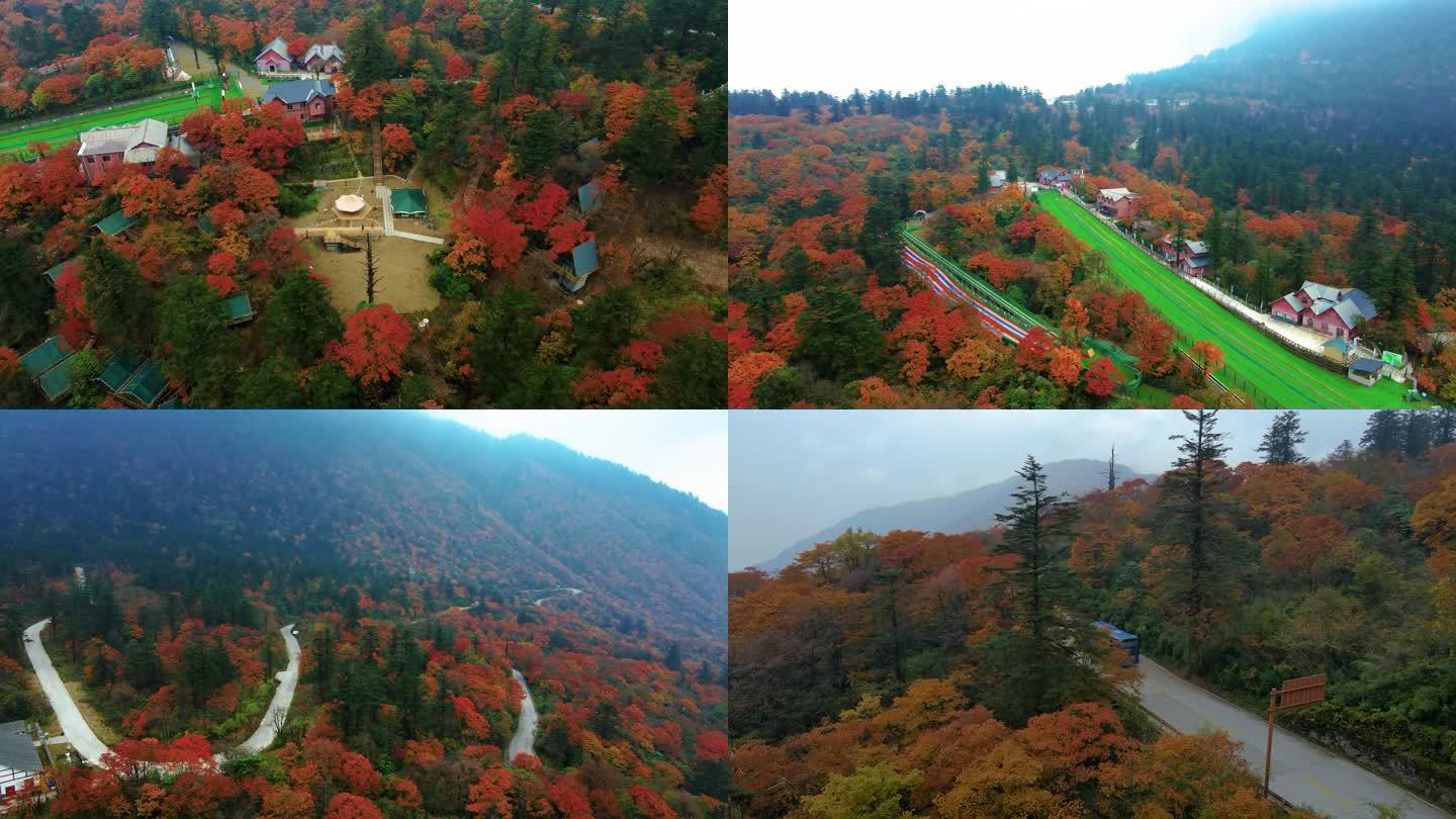 深秋季节的雷洞坪红叶