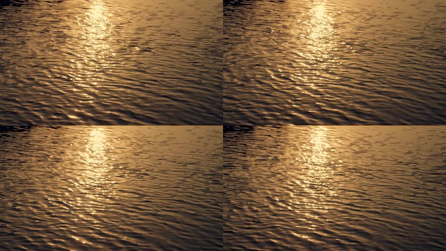 金色波光粼粼水面01