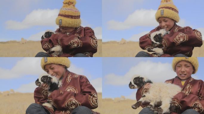 草原 羊群 西藏草原 羊 牧人 西藏那曲