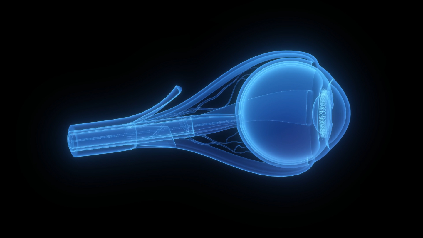 蓝色全息线框科技眼睛解剖三维素材带通道