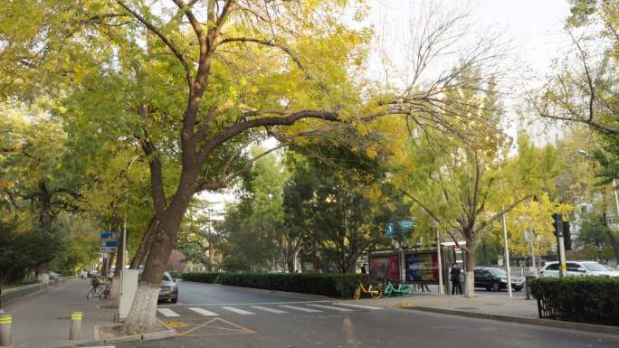 北京东城区崇文门西大街延时4k