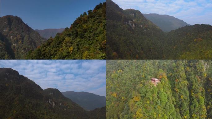 峨眉山遇仙寺的V领毛衣