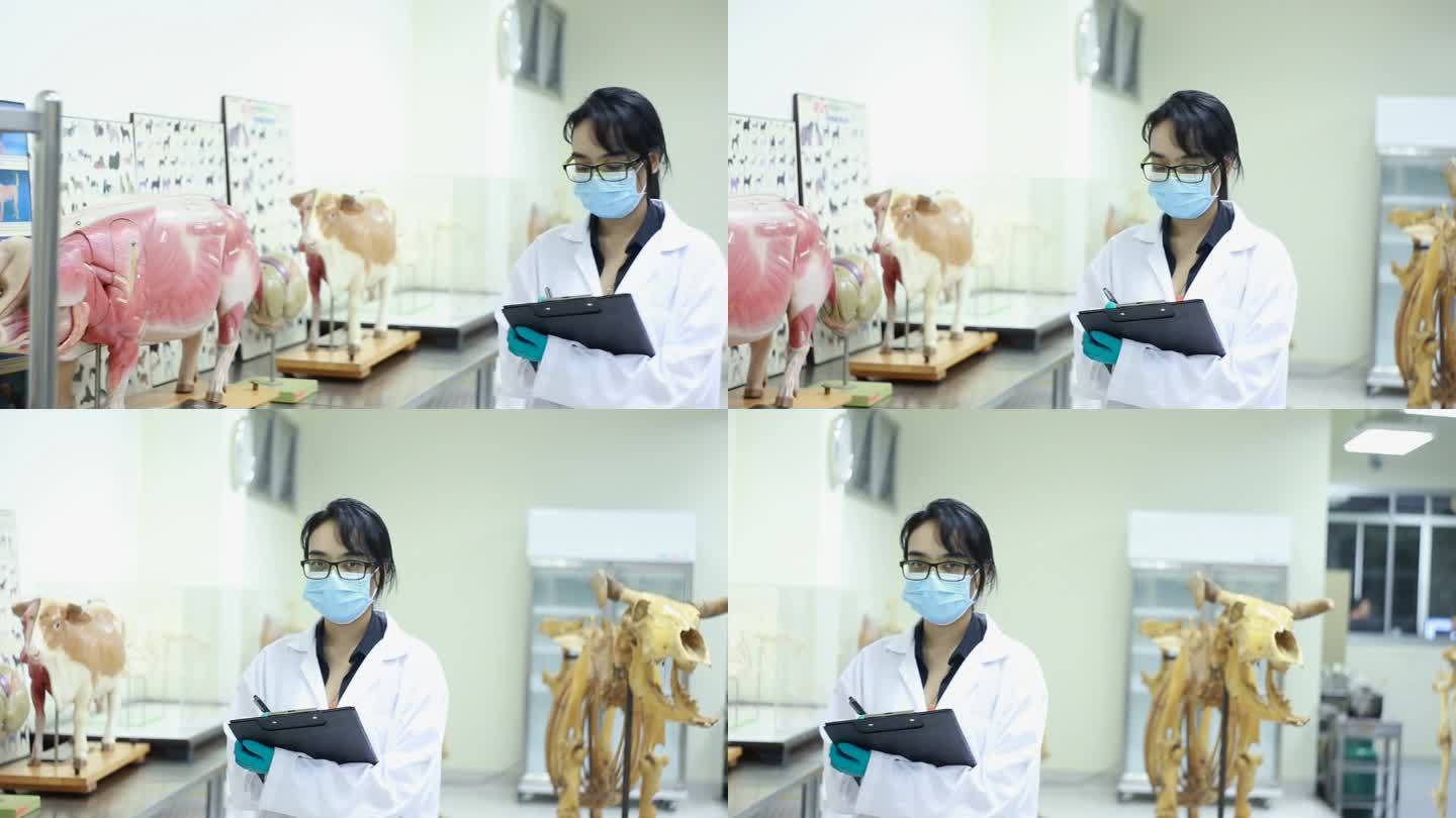 兽医兽医学习记录动物模型骨架实验室