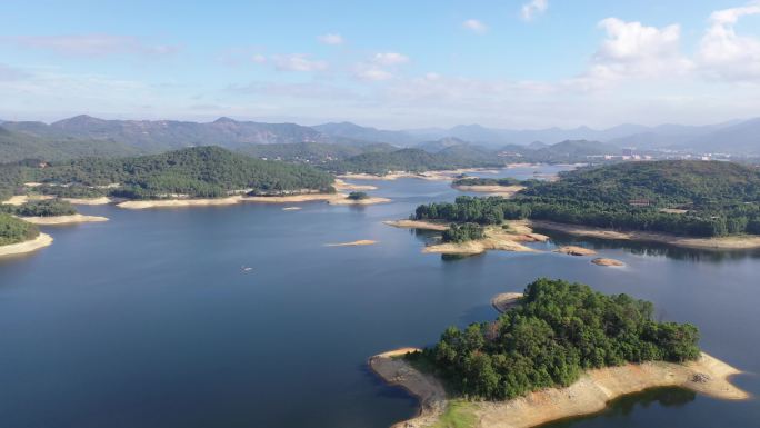 航拍水库湿地公园湖泊森林树林自然风景环境