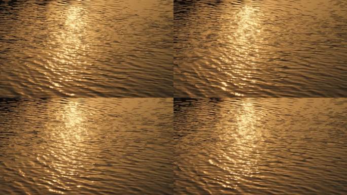 金色波光粼粼水面14
