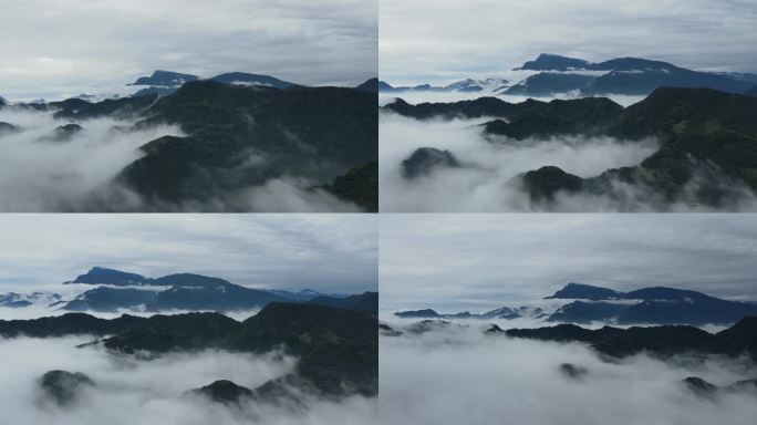 峨眉山雪芽基地的云海