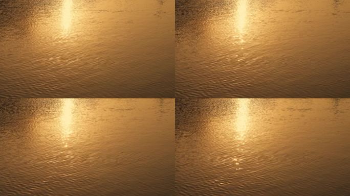 金色波光粼粼水面15