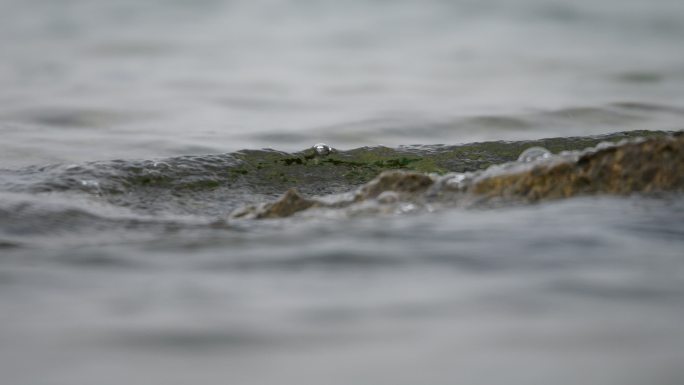 水 浪 石头