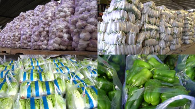 蔬菜批发市场