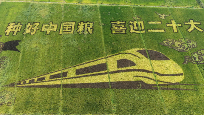 种好中国粮农业稻田彩绘宣传标语图案