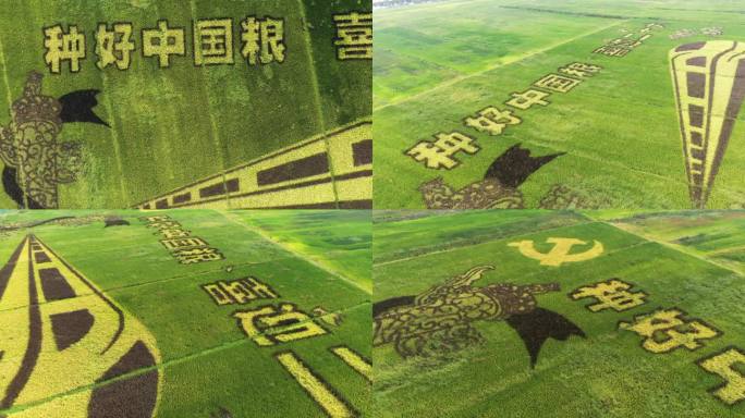 种好中国粮农业稻田彩绘宣传标语图案