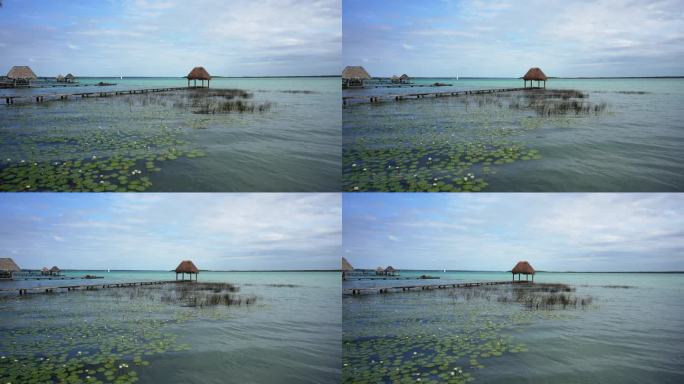 墨西哥巴卡拉泻湖墨西哥巴卡拉泻湖湖泊湖水