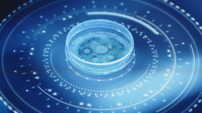 扫描过程中，蓝色HUD台上有细菌生长的小培养皿