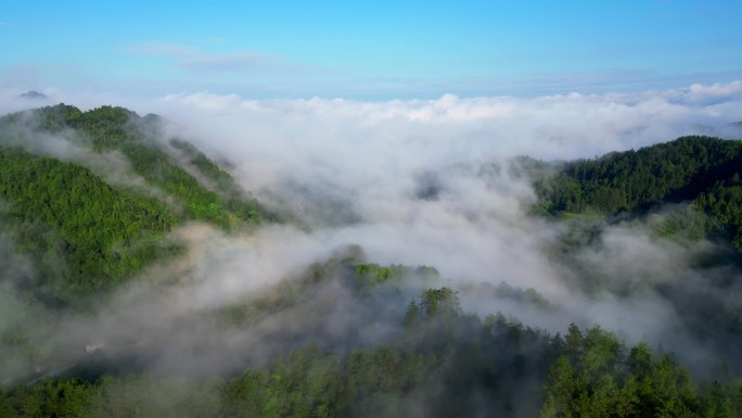 清晨的云雾弥漫山谷
