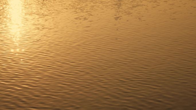 金色波光粼粼水面17
