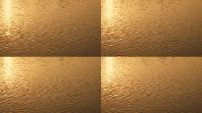 金色波光粼粼水面17